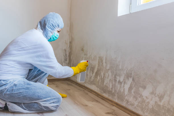 Licensed Crawl Space Mold Removal service in Newton Upper Falls, MA - WQB Mold Removal