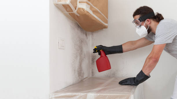 Professional Crawl Space Mold Removal technician working in Newton Upper Falls, MA
