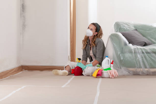 Reliable Crawl Space Mold Removal contractor in Newton Upper Falls, MA by WQB Mold Removal